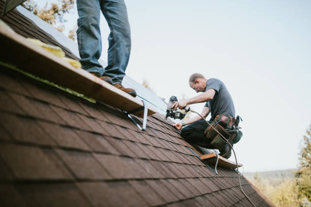 Best Storm Damage Roof Repair  in Falconer, NY